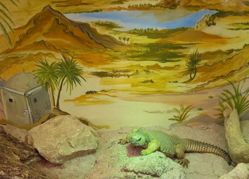 Foto: Michael Dobrindt Foto von einem Leguan in einem Terrarium, hinter ihm ist eine gemalte Landschaft