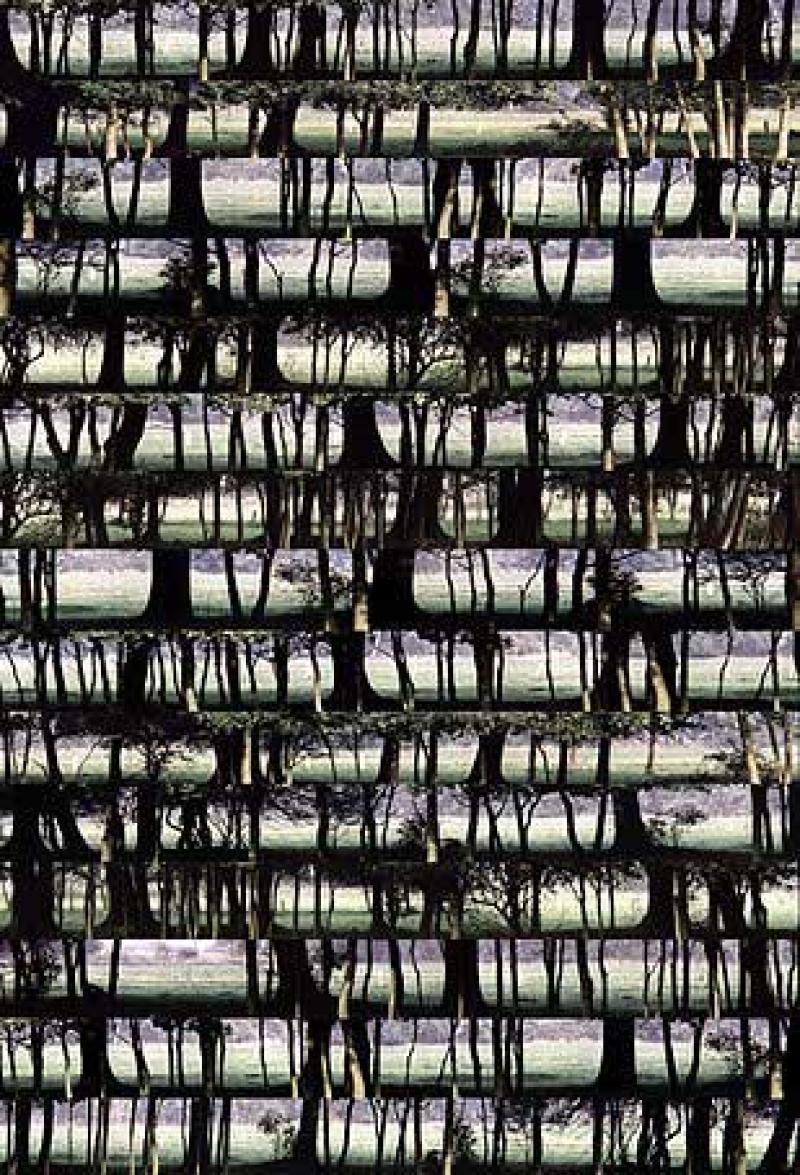 Der multimedial arbeitende Künstler Hanno Kübler zeigt im Ausstellungsraum des kik.projekthauses Fotografien und Drucke zum Thema Hecken und Gehölze in unterschiedlichen Techniken und Formaten. Im Außenbereich des 5000 qm großen, zum Teil verwilderten Kunstareal haben weitere Künstlerinnen und Künstler Installationen und Objekte umgesetzt und so ein farbenfrohes Spannungsfeld zwischen Mensch, Kunst und Natur geschaffen. Herzlich willkommen an einem wundervollen Ort!