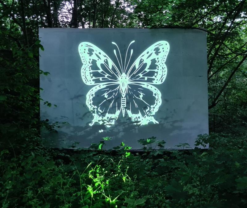 Großformatige LichtBilder, NaturProjektionen, Lagerfeuer und VideoMappings erleuchten die nächtliche Szenerie und werden live von experimentellen Klangmodulationen untermalt.