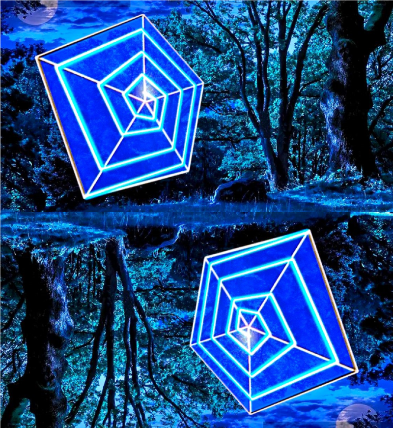 Es kreucht und fleucht, zirpt und summt: 5 Künstler:innen transformieren das wildromantische Gelände von kunst in kontakt in ein geheimnisvolles Insekten Kunst Areal... Der Ort wird für Besucher:innen zu einer Entdeckungsreise in eine fremde, unbekannte Welt, die Welt der Insekten...