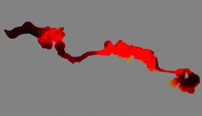 Wenn Mücken küssen ab dem 25.04.2026 auf dem KulturGut Poggenhagen